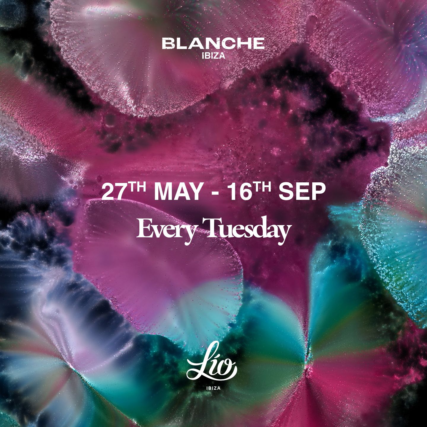 Blanche Ibiza generic